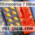 Rhinocéros 7 Bêta new01